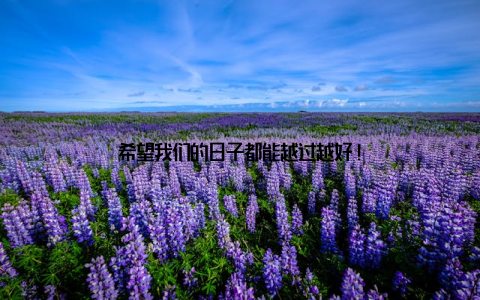 希望我们的日子都能越过越好!