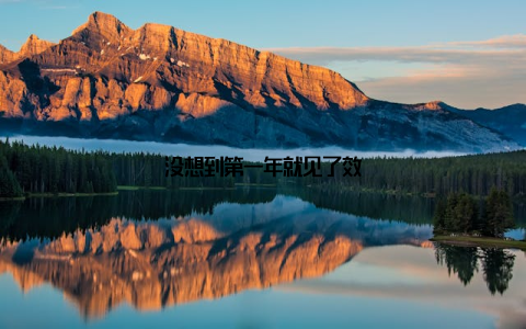 没想到第一年就见了效