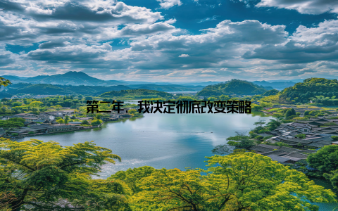 第二年, 我决定彻底改变策略