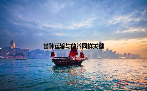 苗种运输与放养同样关键