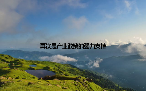 再次是产业政策的强力支持