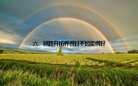 六、销路开拓养得好不如卖得好