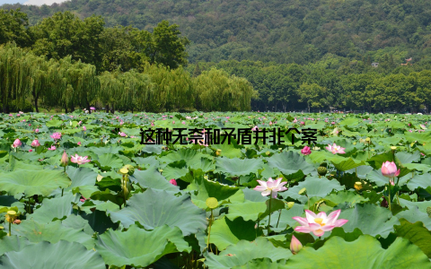 ” 这种无奈和矛盾并非个案