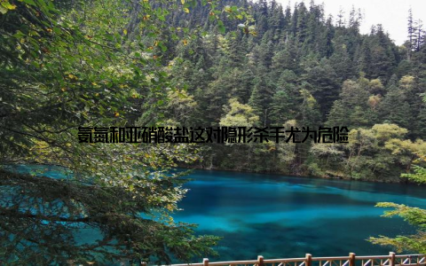氨氮和亚硝酸盐这对隐形杀手尤为危险
