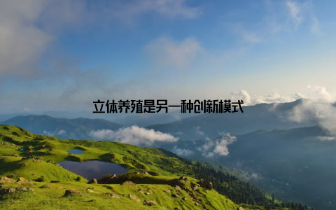 立体养殖是另一种创新模式