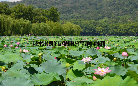 技术出身的赵思雨分享她的秘籍