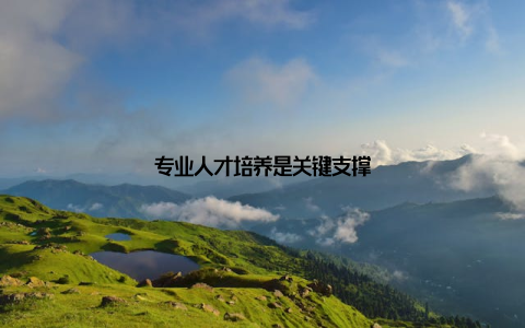 专业人才培养是关键支撑
