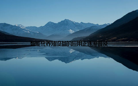 智能化养殖设备的应用正逐渐普及