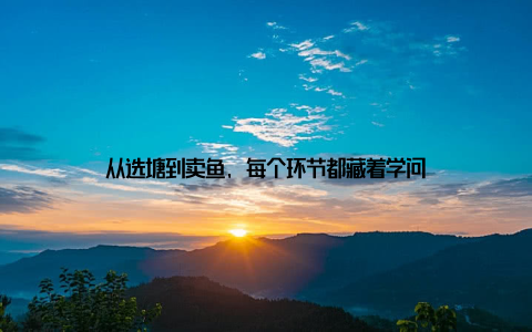 从选塘到卖鱼, 每个环节都藏着学问