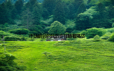 市场机会的背后也伴随着挑战
