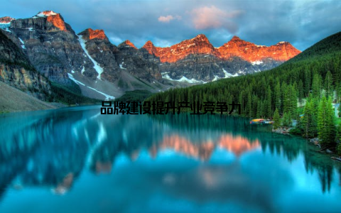 品牌建设提升产业竞争力