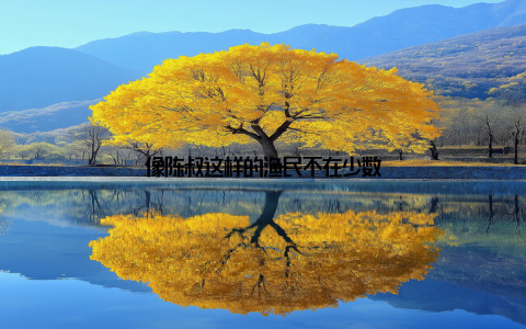 像陈叔这样的渔民不在少数