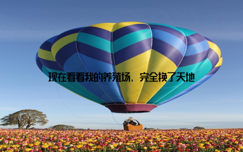 现在看看我的养殖场, 完全换了天地