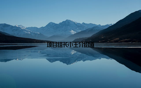 项目组长小王介绍道