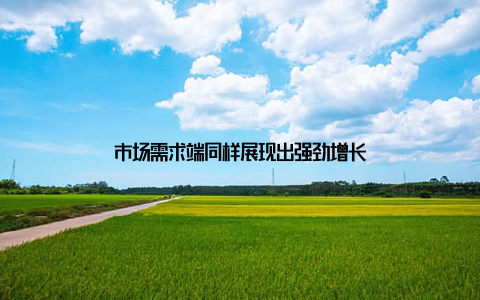 市场需求端同样展现出强劲增长