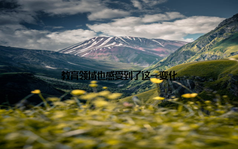 教育领域也感受到了这一变化