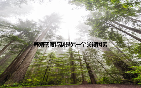 养殖密度控制是另一个关键因素