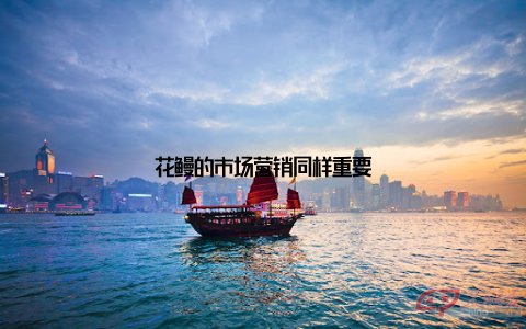 花鳗的市场营销同样重要