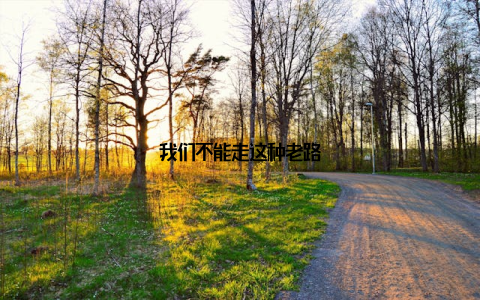 我们不能走这种老路