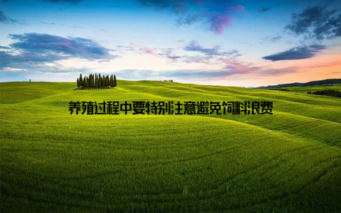 养殖过程中要特别注意避免饲料浪费