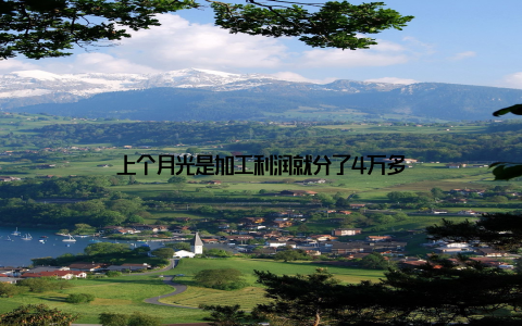 上个月光是加工利润就分了4万多