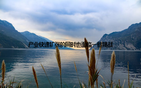 产业快速扩张的同时也面临一些挑战