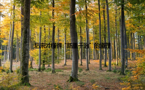 后来才懂得“防重于治”的道理