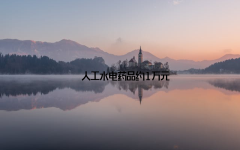 – 人工水电药品约1万元