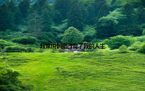 我常说刺鳅改变了我的人生