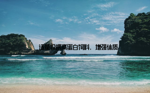 – 适量投喂高蛋白饲料, 增强体质