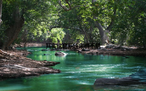 其实这套系统来得不易