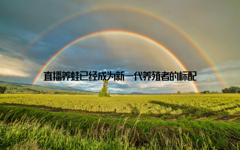 直播养蛙已经成为新一代养殖者的标配