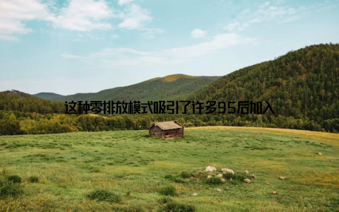 这种零排放模式吸引了许多95后加入