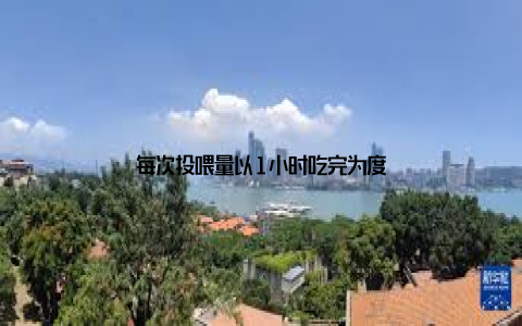 每次投喂量以1小时吃完为度