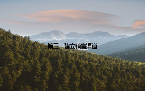 第三, 建立销售渠道