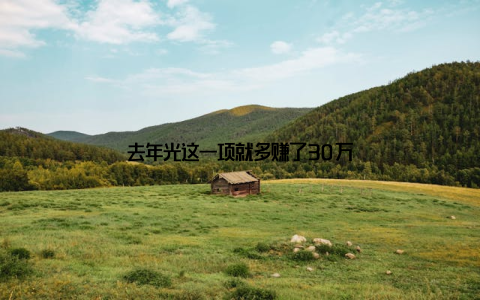 去年光这一项就多赚了30万