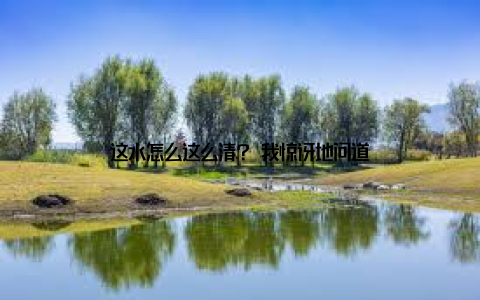 这水怎么这么清? 我惊讶地问道