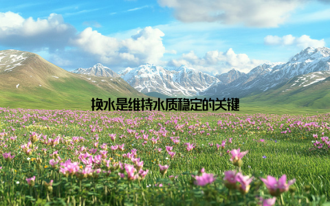 换水是维持水质稳定的关键