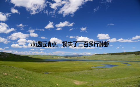 水退后清点, 损失了三百多斤种虾