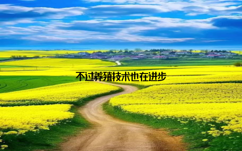 不过养殖技术也在进步
