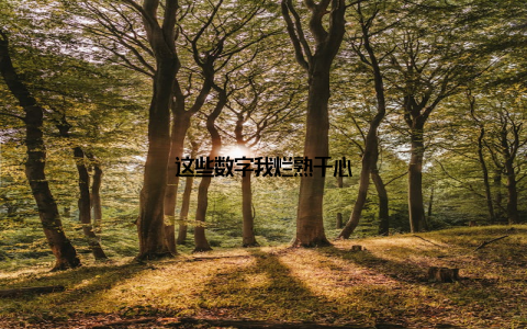 这些数字我烂熟于心