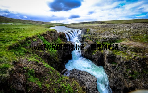 小龙虾养殖既是技术活, 更是耐心活