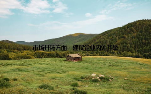 市场开拓方面, 建议企业内外并举