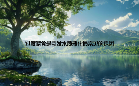过度喂食是引发水质恶化最常见的诱因