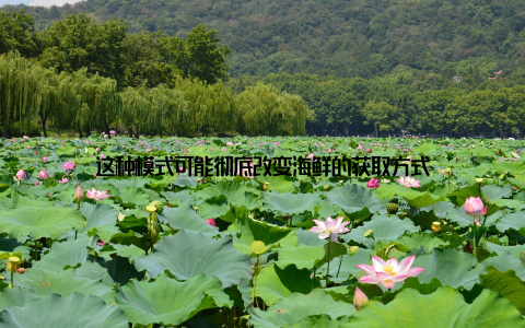 这种模式可能彻底改变海鲜的获取方式