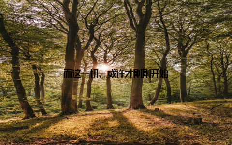 而这一切, 或许才刚刚开始