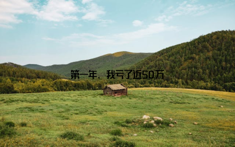 第一年, 我亏了近50万