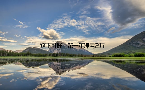这下可好, 第一年净亏2万