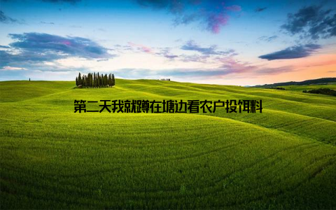 第二天我就蹲在塘边看农户投饵料