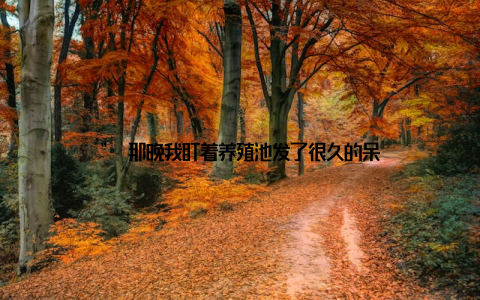 ” 那晚我盯着养殖池发了很久的呆